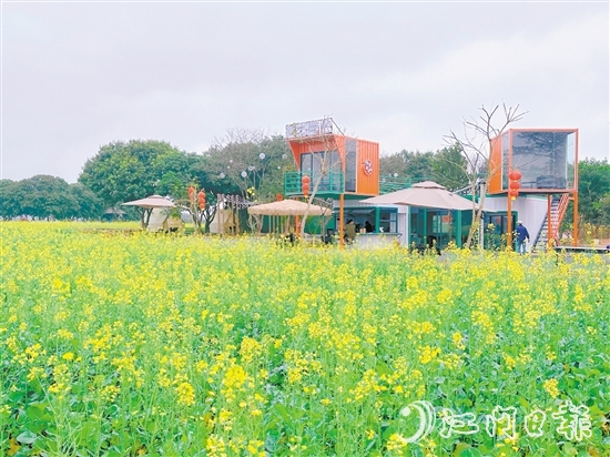 大沙鎮(zhèn)蕉園營地。