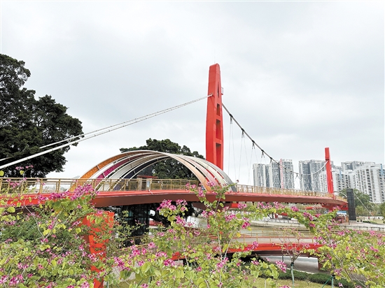 江門公園遍地開花，景色宜人。