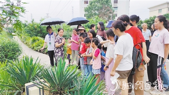 市民在嶺南藥用植物園學(xué)習(xí)辨認(rèn)常用的藥用植物。