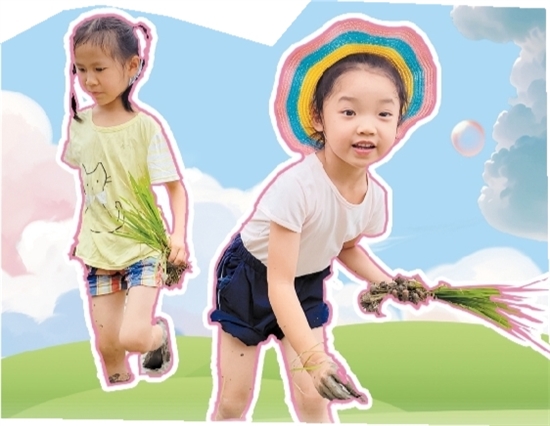 蓬江區(qū)第一幼兒園的小朋友們體驗(yàn)插秧。