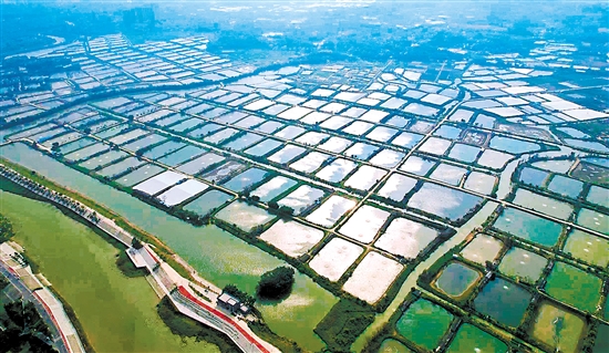 古勞鎮(zhèn)大埠村將以強經(jīng)濟、促和美、惠民生為主攻方向，以打造“廣東省休閑農(nóng)業(yè)與鄉(xiāng)村旅游示范點”為目標，以推進中鐵文旅·田園綜合體、美麗漁場、光伏發(fā)電、“云龍競渡”綜合觀光樓等項目為抓手，促進農(nóng)文康旅融合高質(zhì)量發(fā)展。古勞鎮(zhèn)供圖