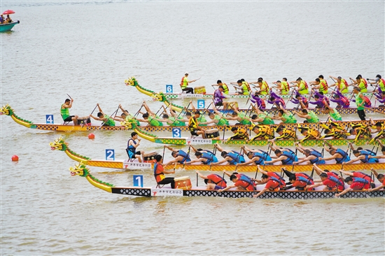 江門(mén)（開(kāi)平）國(guó)際龍舟邀請(qǐng)賽標(biāo)準(zhǔn)龍舟公開(kāi)組邀請(qǐng)了來(lái)自中國(guó)香港、中國(guó)澳門(mén)、俄羅斯、英國(guó)、馬來(lái)西亞、“一帶一路”共建國(guó)家大學(xué)生聯(lián)隊(duì)6支隊(duì)伍參賽。