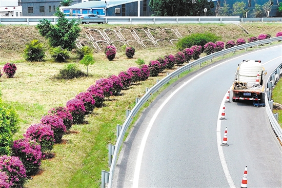 開陽高速公路形成一條路中有景、景中有路的綠美交通廊道。