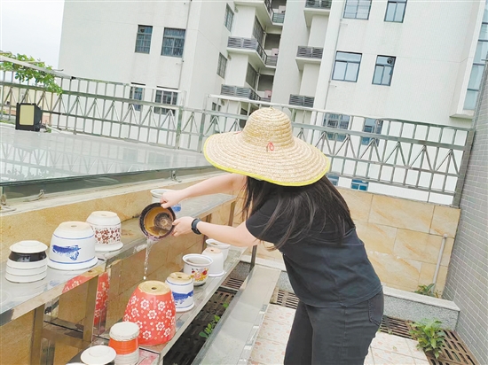 市民清理閑置積水容器，防止蚊蟲孳生。