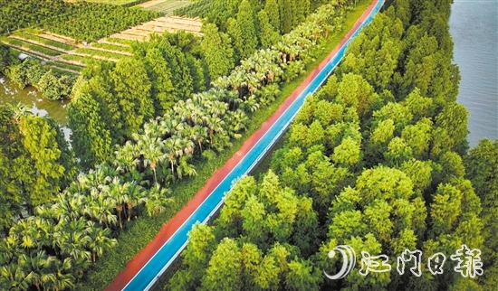 江海區(qū)鄉(xiāng)村綠廊碧帶串聯(lián)多個(gè)公園和自然景觀區(qū)，成為市民休閑娛樂的好去處。