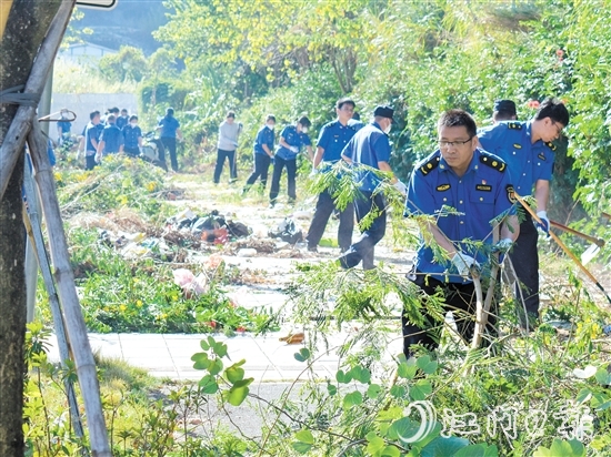 區(qū)城市管理綜合執(zhí)法局在豐樂路省實江門學校東門段開展雜草清理工作。