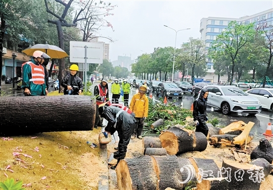經(jīng)過加急作業(yè)，工作人員完成部分路段的清障工作，讓車輛順利通行。