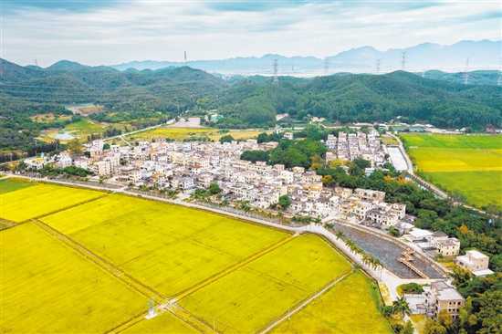 赤溪鎮(zhèn)護(hù)嶺村是客家人聚居村,先后入選廣東省首批“百千萬(wàn)工程”典型村、廣東省鄉(xiāng)村振興示范村創(chuàng)建名單。