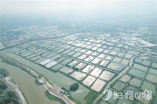 科技特派員助力古勞鎮(zhèn)大力發(fā)展特色漁業(yè)養(yǎng)殖，加快建設(shè)“省級示范性美麗漁場”。