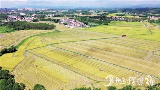南塘村通過“兩預兩委托”模式，成功整合約73.33公頃（1100多畝）田地，依托農(nóng)村“三資”管理平臺流轉給專業(yè)農(nóng)業(yè)公司開展大規(guī)模種植。