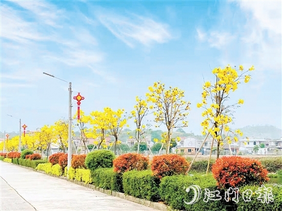 南合村的“顏值”不斷提升。