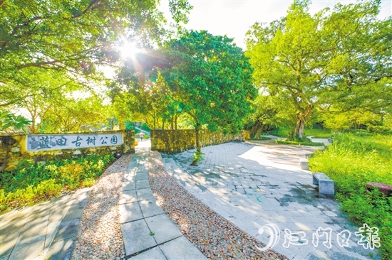 藍(lán)田古樹公園。