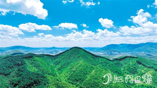鶴山市現(xiàn)有林地面積54333.33公頃（81.5萬畝），2024年5月，鶴山市被選為廣東唯一、全國(guó)21個(gè)開展林權(quán)登記試點(diǎn)工作的縣（市、區(qū)）之一。