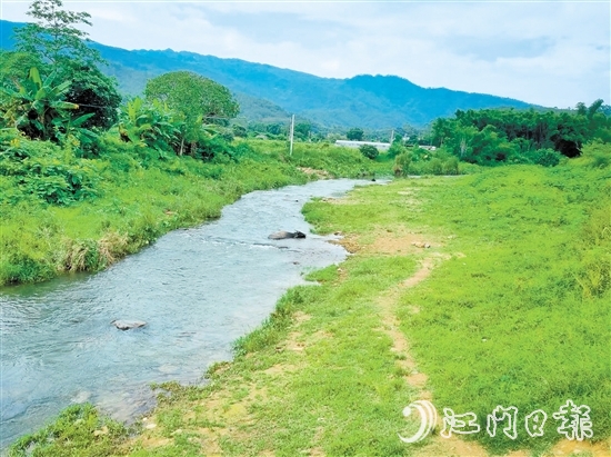 鶴城鎮(zhèn)萬和村河灘草地露營點(diǎn)。
