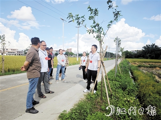 牛江鎮(zhèn)人大組織代表到高聯(lián)村開展視察調(diào)研。