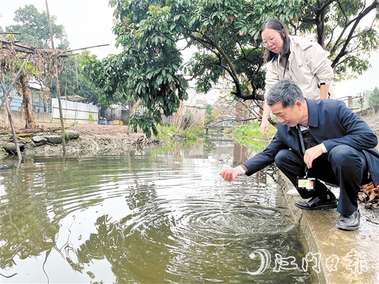 新會區(qū)紀檢監(jiān)察干部到雙水鎮(zhèn)北水村回訪，查看水質變化。