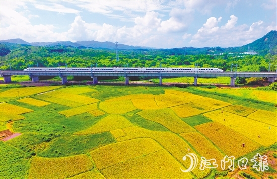 恩平市不斷完善交通網(wǎng)絡(luò)，推進(jìn)深度融灣。圖為江湛鐵路經(jīng)過(guò)恩平。