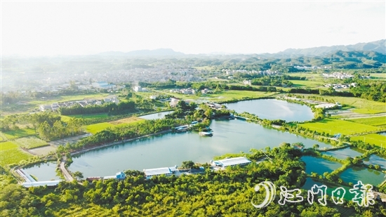 橫東村特色農(nóng)業(yè)發(fā)展勢(shì)頭較好。
