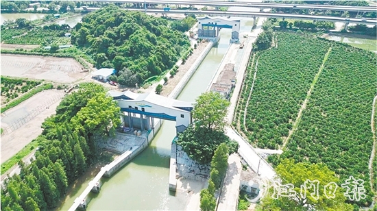 江新聯(lián)圍睦洲樞紐除險加固工程已基本完工，實現(xiàn)華麗變身，更好地發(fā)揮自身水利功能。