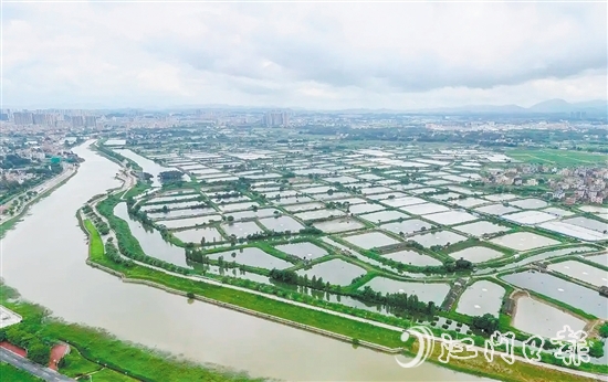 古勞鎮(zhèn)發(fā)動(dòng)魚(yú)塘養(yǎng)殖戶(hù)開(kāi)展魚(yú)塘清淤，推動(dòng)魚(yú)塘養(yǎng)殖增產(chǎn)增收。