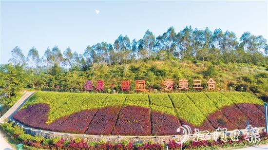 三合鎮(zhèn)是臺山城區(qū)的“后花園”，地理位置得天獨厚。