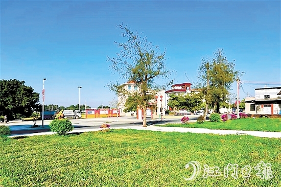 赤溪鎮(zhèn)長(zhǎng)安村掀起新一輪植綠熱潮，擦亮“百千萬工程”典型村的綠美發(fā)展底色。