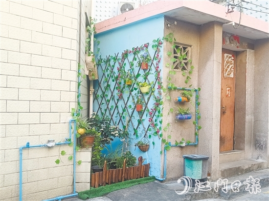 家門口的立體小花園為禾岡村注入生機與活力。