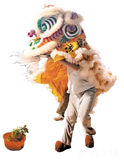 花炮會上，醒獅采青表演十分精彩。