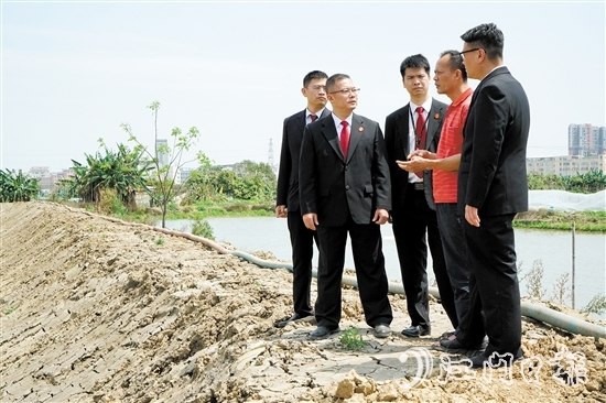 執(zhí)行法官在田間地頭向當(dāng)事人了解案情。