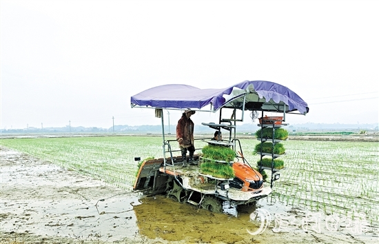 沖蔞鎮(zhèn)推進(jìn)農(nóng)業(yè)機(jī)械化，為春耕生產(chǎn)提供有力保障。