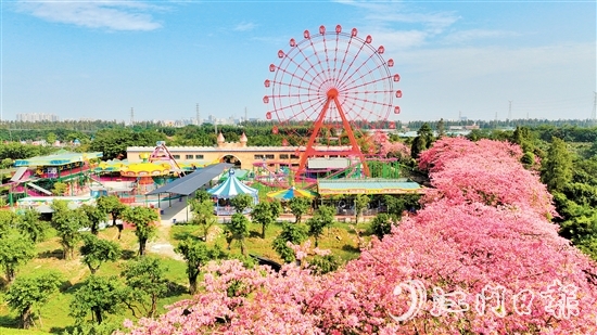 依托禮樂(lè)街道獨(dú)特旅游資源，長(zhǎng)廊生態(tài)園開發(fā)研學(xué)旅游項(xiàng)目，賦能“江門三點(diǎn)三精彩之旅”品牌建設(shè)。