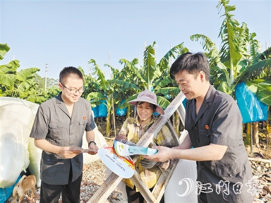 恩平法院干警深入田間地頭開展基層普法。
