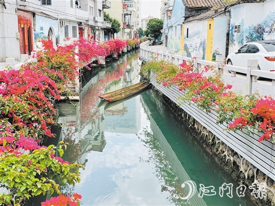 外海街道直沖村一河兩岸花團(tuán)錦簇，美景如畫。