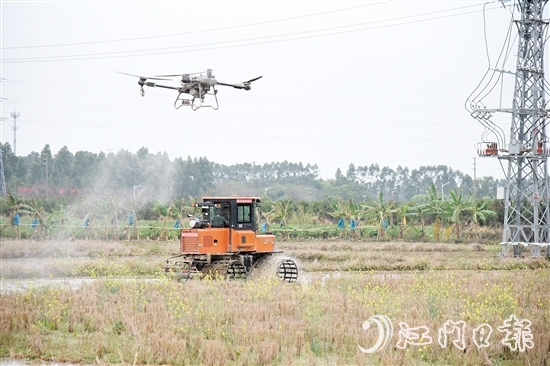 無人機、水旱耕作機協(xié)作開展春耕生產。
