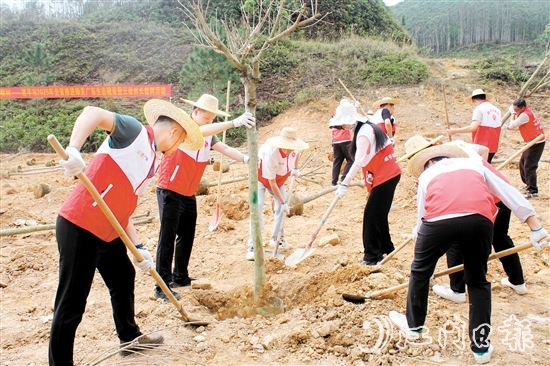 在植樹活動中，大家揮鍬培土，干勁十足，為恩平增添綠意，為全運會舉辦貢獻自己的力量。