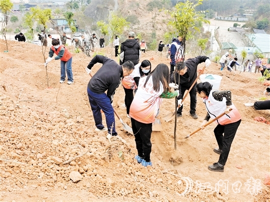 2025年蓬江區(qū)鄉(xiāng)村綠化主題植樹活動在五洞村舉行，黨員群眾攜手種下一棵棵樹苗。
