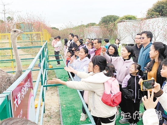 孩子們近距離觀察各類鳥禽。