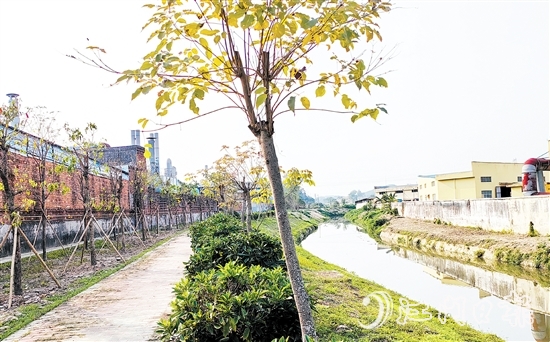 新橋水流域經(jīng)過治理后，環(huán)境大大改善。