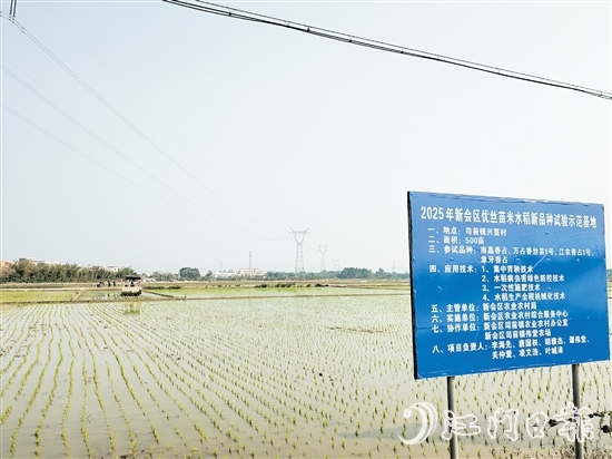 興篁村建成標準農(nóng)田，為糧食高產(chǎn)、穩(wěn)產(chǎn)、均衡增產(chǎn)奠定基礎(chǔ)。