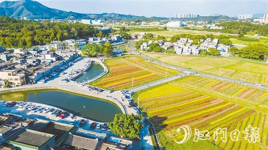 春賞格?；?、夏觀荷塘月、秋品稻花香、冬聞桂花釀的“全季旅游”模式，讓桂水村的知名度不斷攀升。