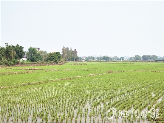 2024年，塘口新增耕地超49公頃，為鄉(xiāng)村振興注入了新動(dòng)能。