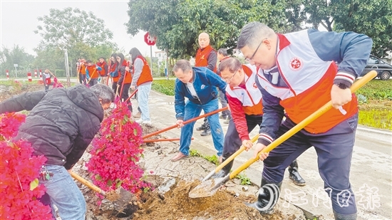 黨員干部、村民代表合力栽下樹(shù)苗，為公路沿線增添一抹生機(jī)。