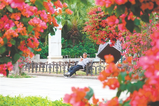 影視劇《棋士》曾在東湖公園取景。