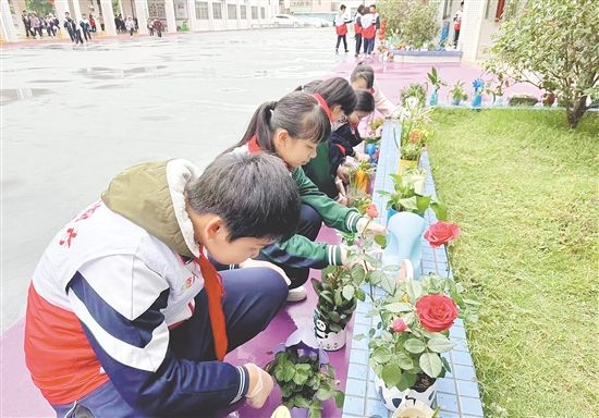 學(xué)生們親手培植的綠植生機(jī)盎然。