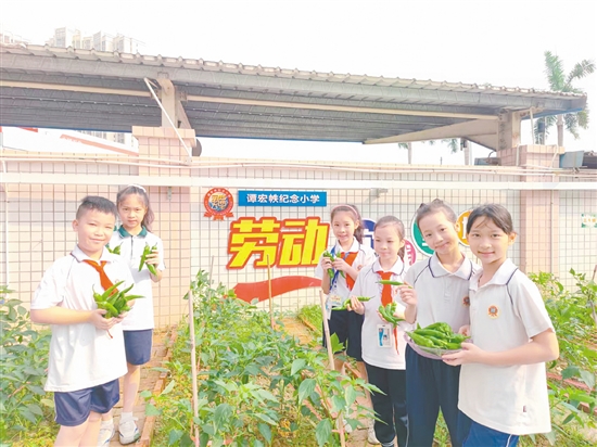 學生們在“幸福農場”全程參與從播種到收獲的勞動過程。