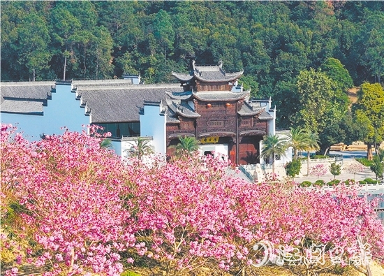 共和鎮(zhèn)來蘇村利用去年擂臺(tái)比武獲得的獎(jiǎng)勵(lì)資金進(jìn)行一系列鄉(xiāng)村建設(shè)。圖為來蘇山水人家文旅項(xiàng)目。