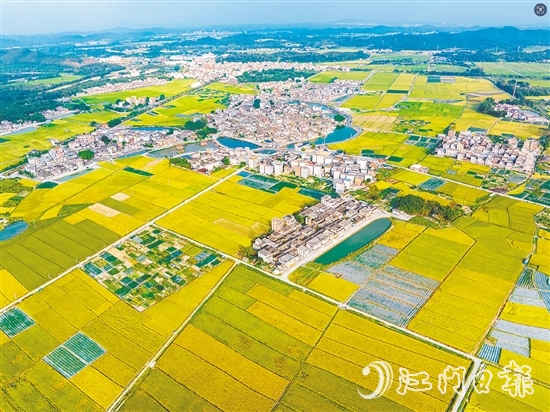恩平土壤肥沃，富含“硒”元素，該市正努力推動(dòng)讓“硒”資源轉(zhuǎn)化為富民強(qiáng)市的“硒”經(jīng)濟(jì)。圖為恩平市牛江鎮(zhèn)。