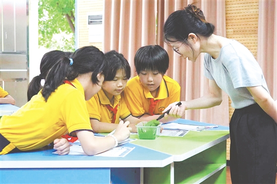 在古勞鎮(zhèn)連南小學(xué)的科學(xué)課上，學(xué)生們化身為“小小科學(xué)家”，認(rèn)真觀察并仔細(xì)記錄蠶的生長變化。