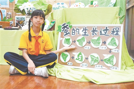美術(shù)課上，學(xué)生在教師的指導(dǎo)下創(chuàng)作《蠶的一生》主題繪本。
