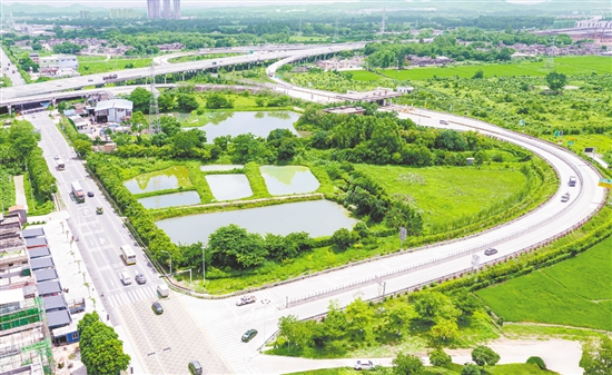 近年來，水步鎮(zhèn)先后投入約500萬元用于周邊廊道建設。